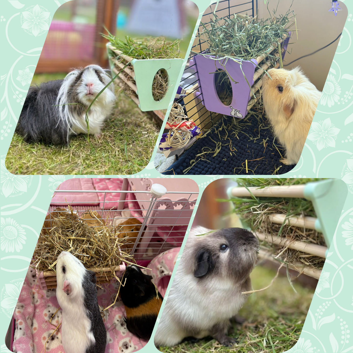 Hay Rack - Pastel Purple