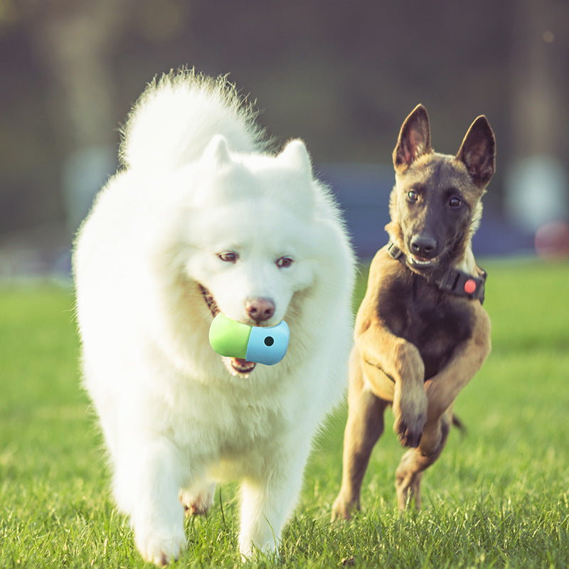 Fun and Functional Silicone Dog Toy Ball